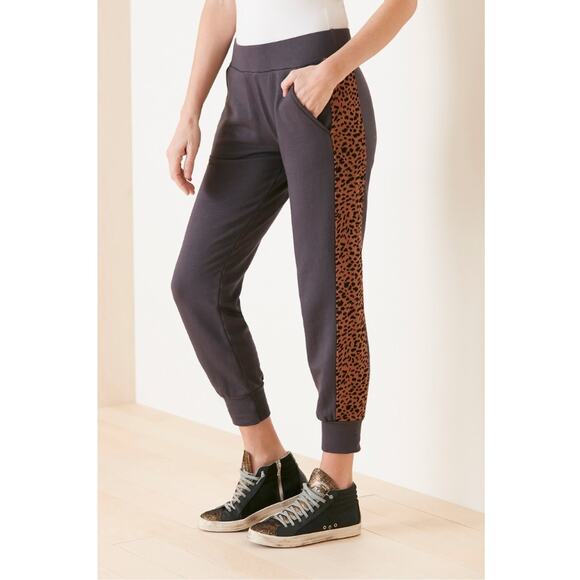 MONROW NWT Evereve Gray Leopard Sporty Sweatpant Jogger // S - Picture 1 of 12